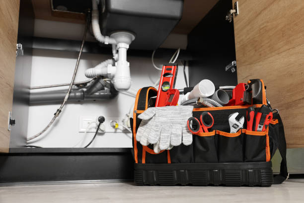 Best Clogged Drain Plumber  in Town And Country, MO